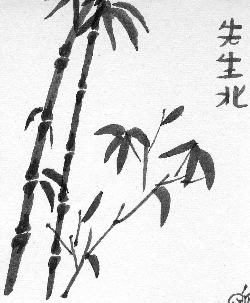 Tuschebild